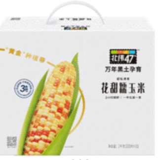 Colored Waxy Corn on the Cob